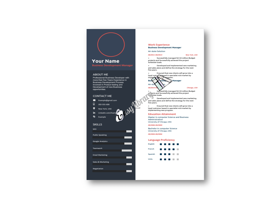 Best CV Template