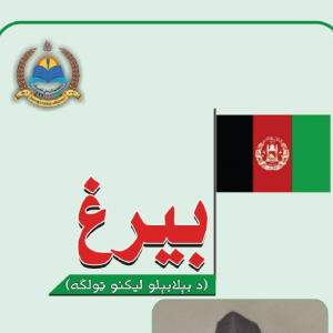 بیرغ