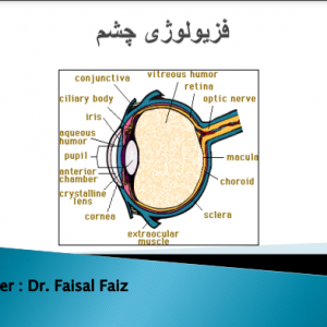 فزیولوژي چشم